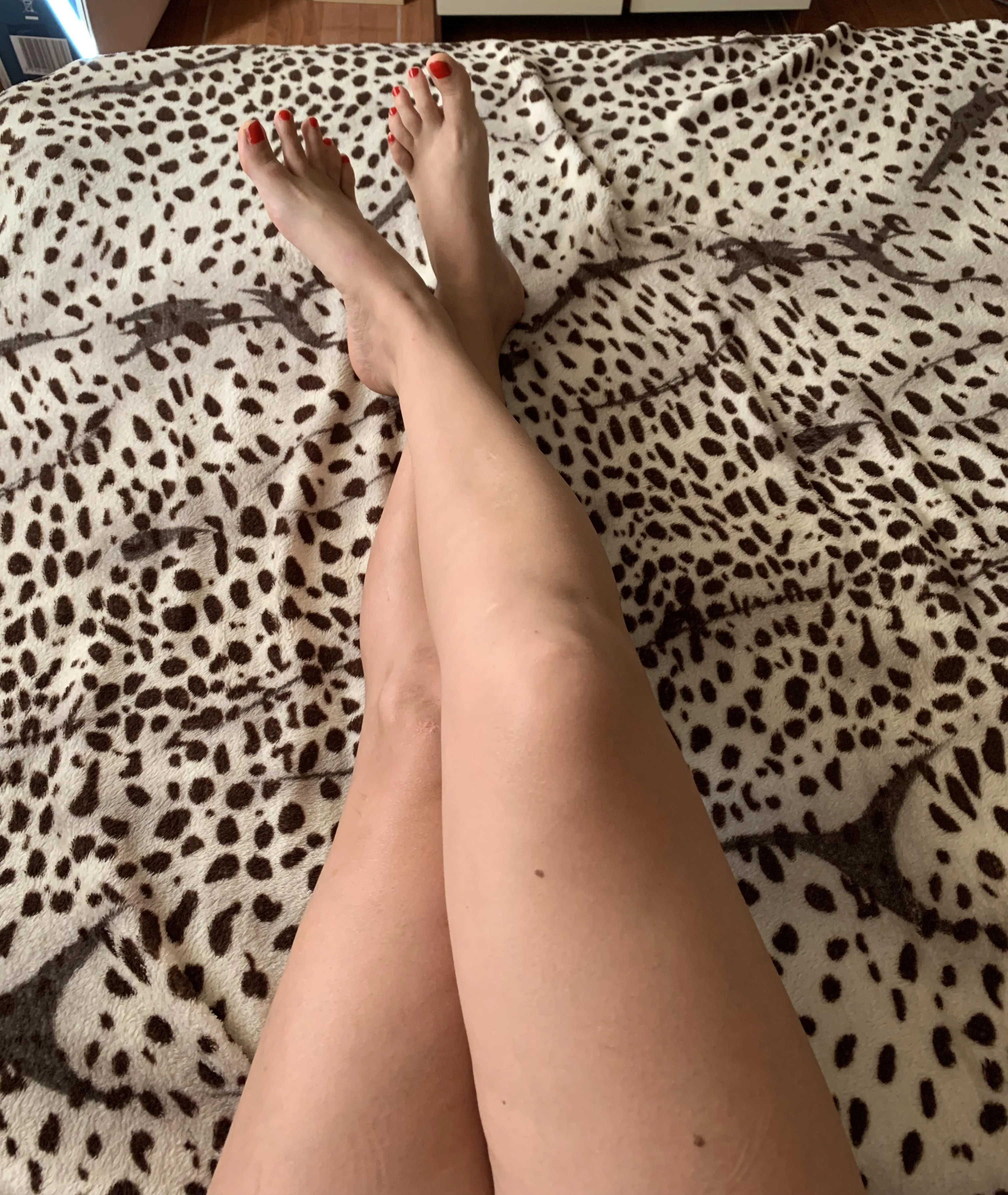 Every inch of my legs is your new obsession