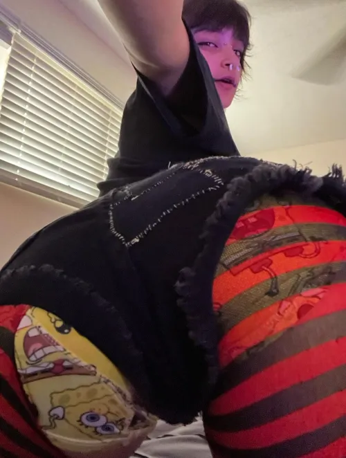 All the dog wants to do is get high, and touch itself to freaky porn while SpongeBob plays in the background