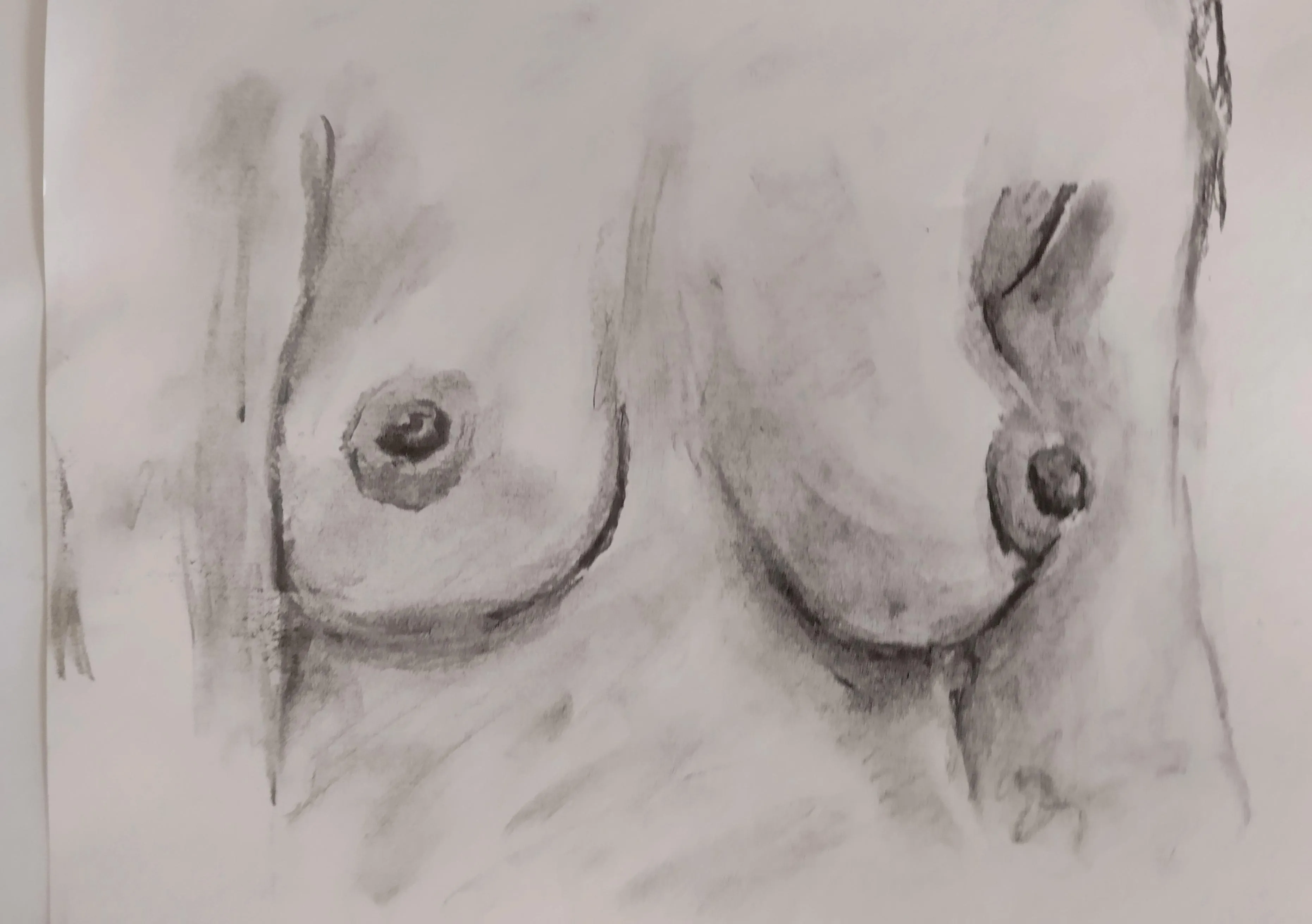 Breast study, charcoal sketch by me