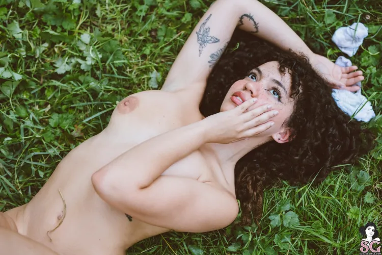 Butterfly's Repose - Mvaleria 🦋