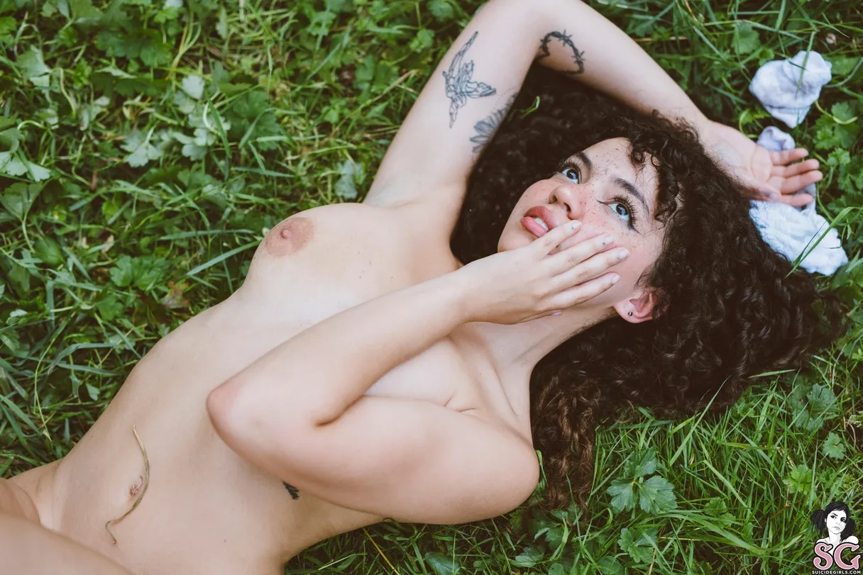 Butterfly's Repose - Mvaleria 🦋