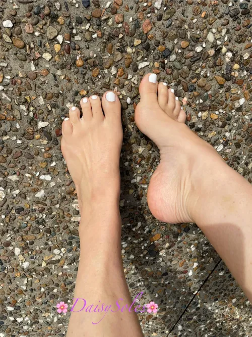 Had my sub choose my new toe colour - did he choose well?