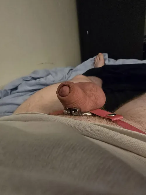 I wonder who'll win...