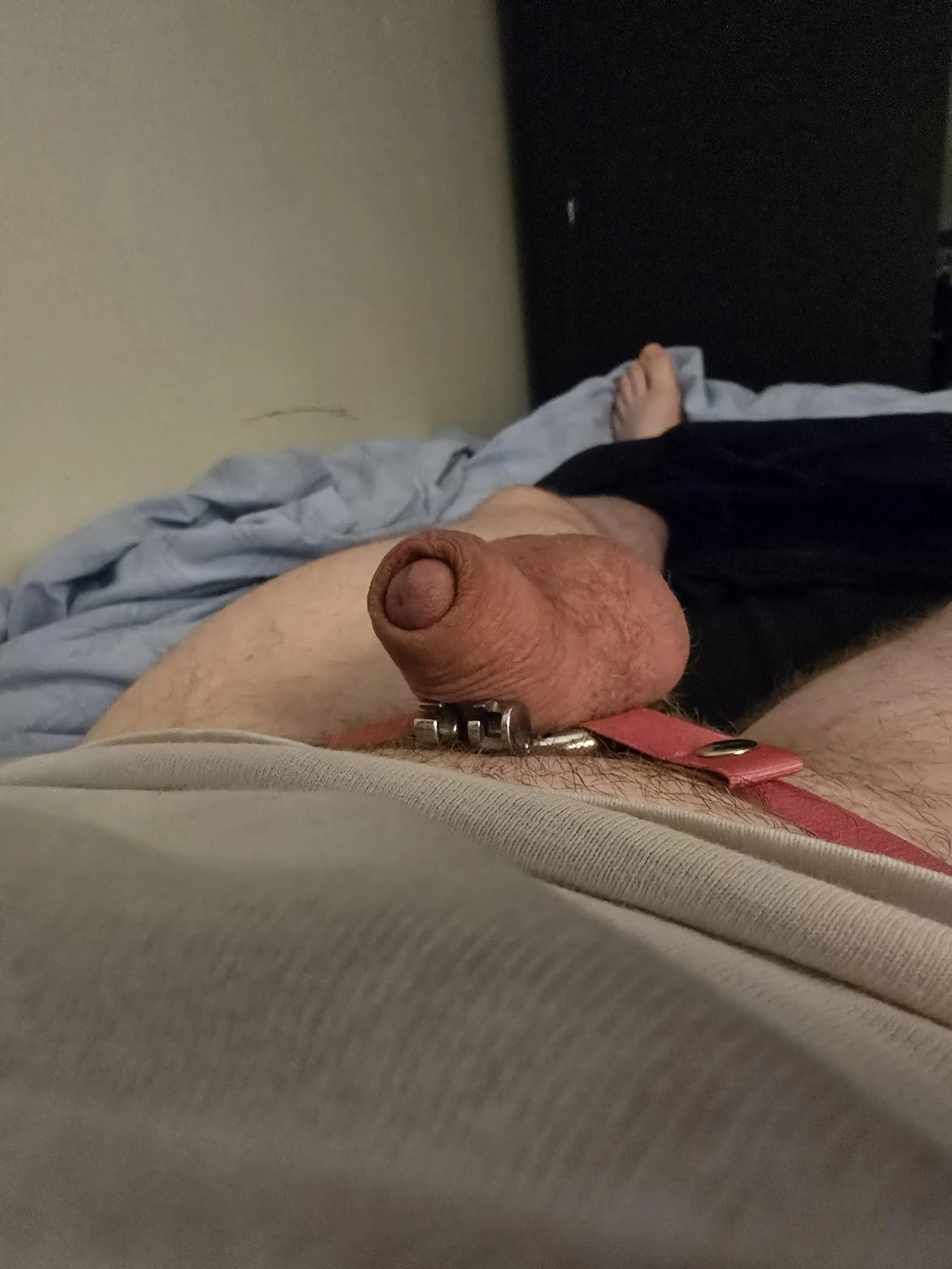 I wonder who'll win...