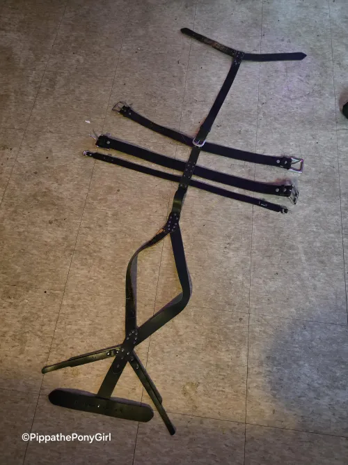 made a pony-harness yesterday out of old belts...