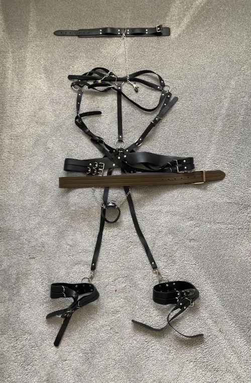 My first attempt at a ponyboy harness