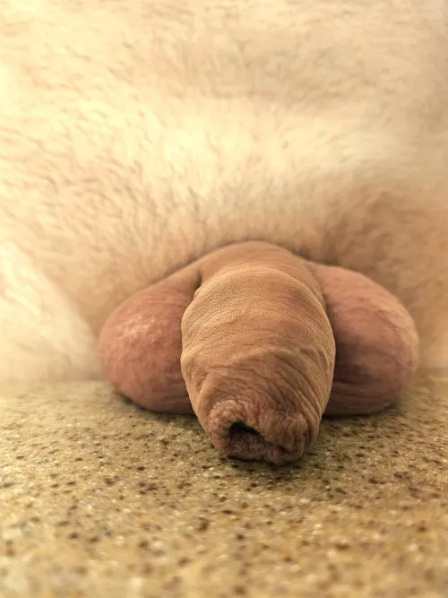 Overhanging the counter