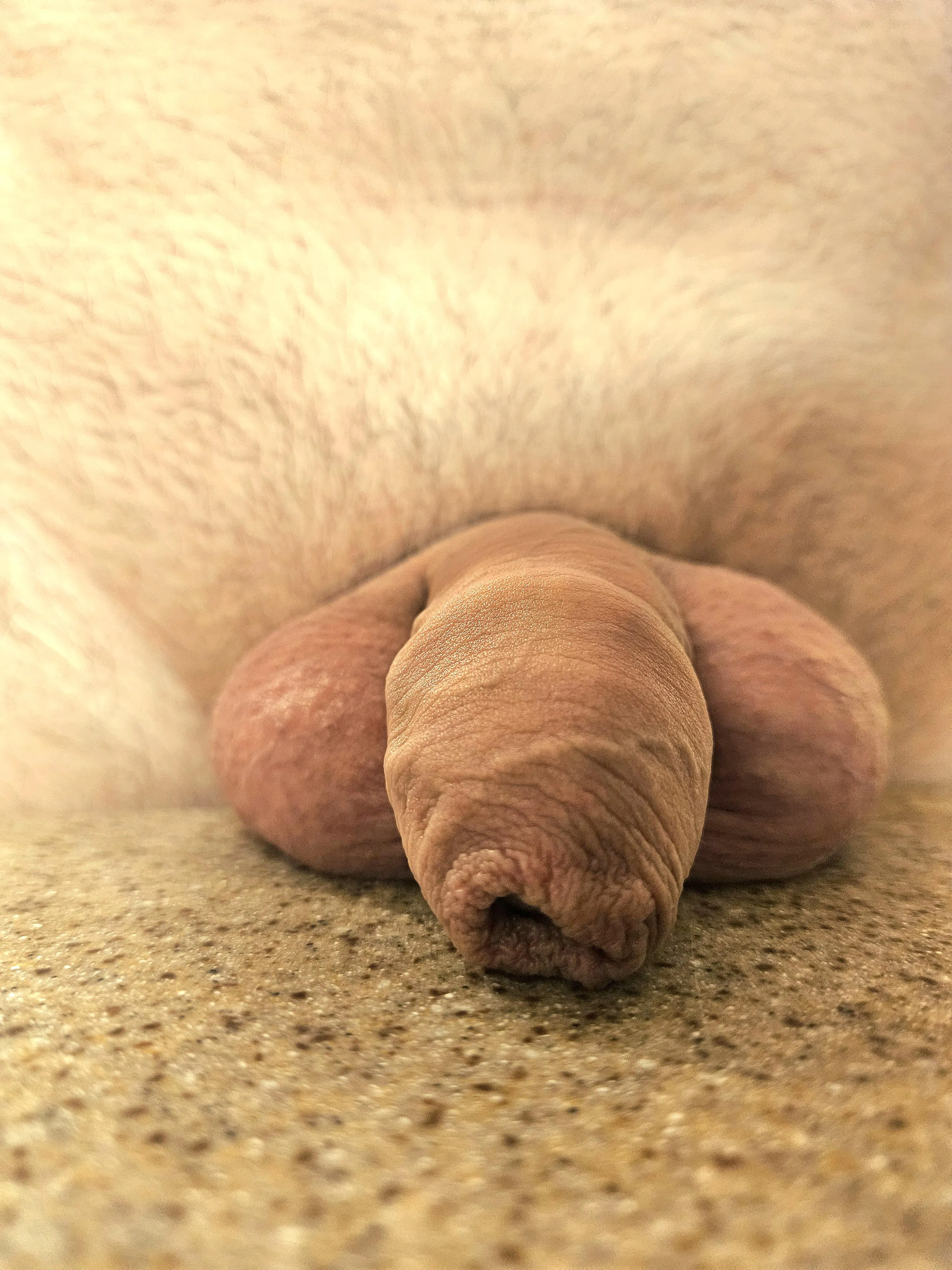 Overhanging the counter