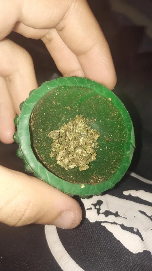 paranguinha ta compensando. sim, minha 