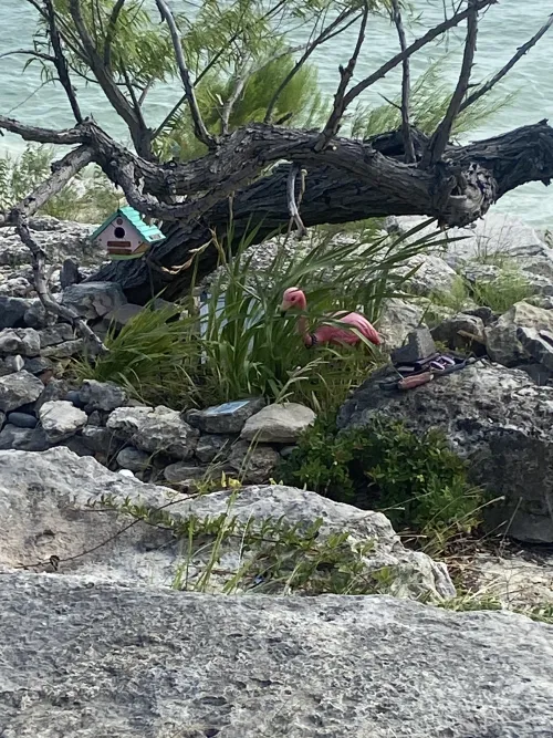 Does anyone know why this is here