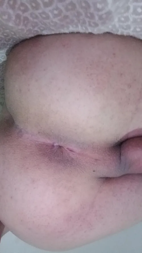 I want to serve dom daddies sc:canerty2