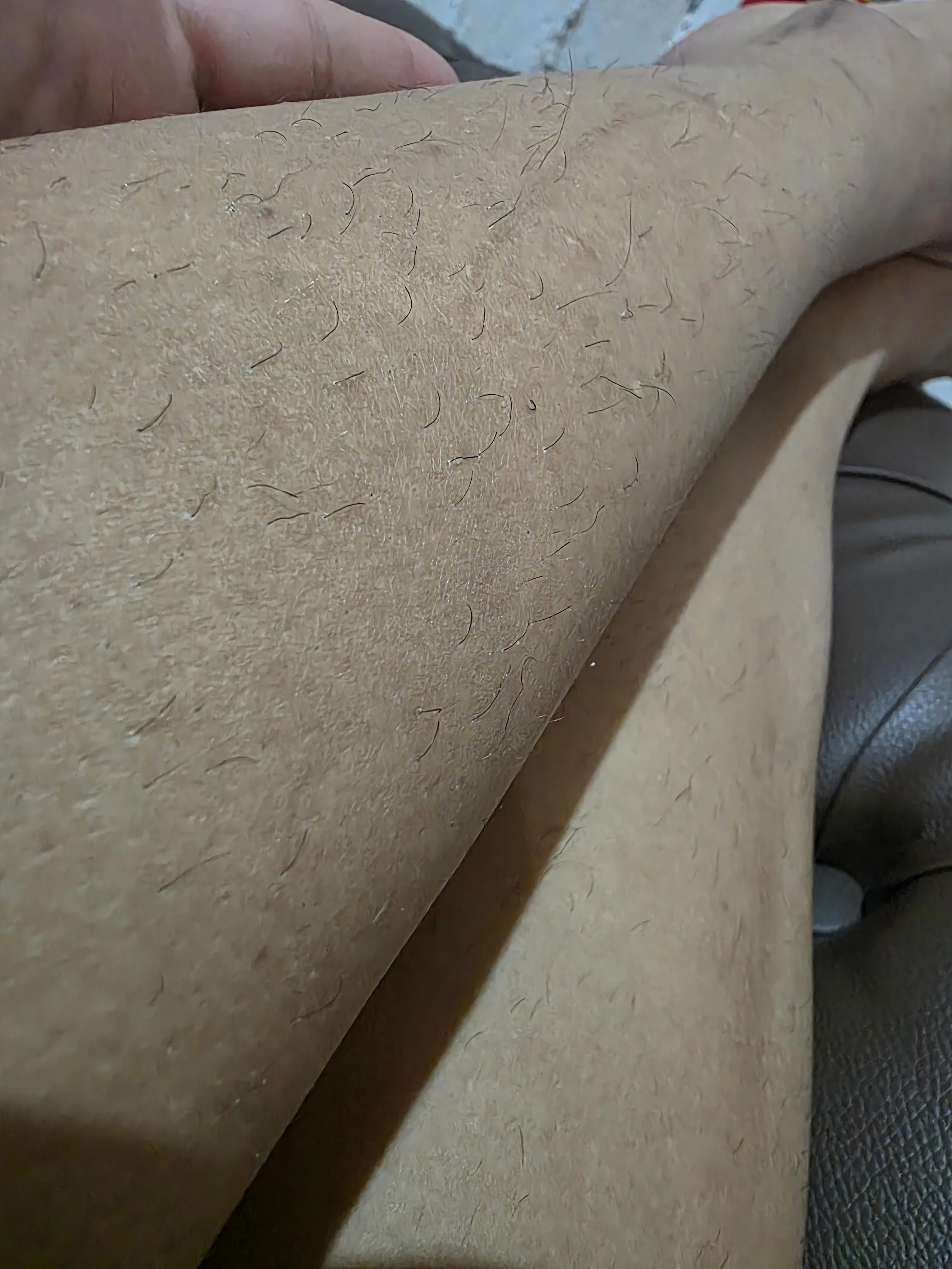 It grew up very fast