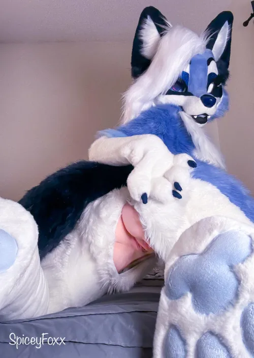 Mount this puppy? ❤️ [SpiceyFoxx]