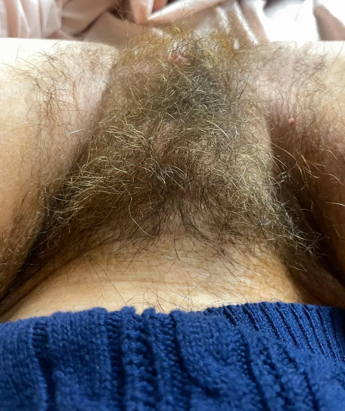my super hairy bush