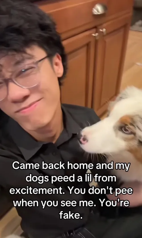 puppy could never relate 🙄 (I do)