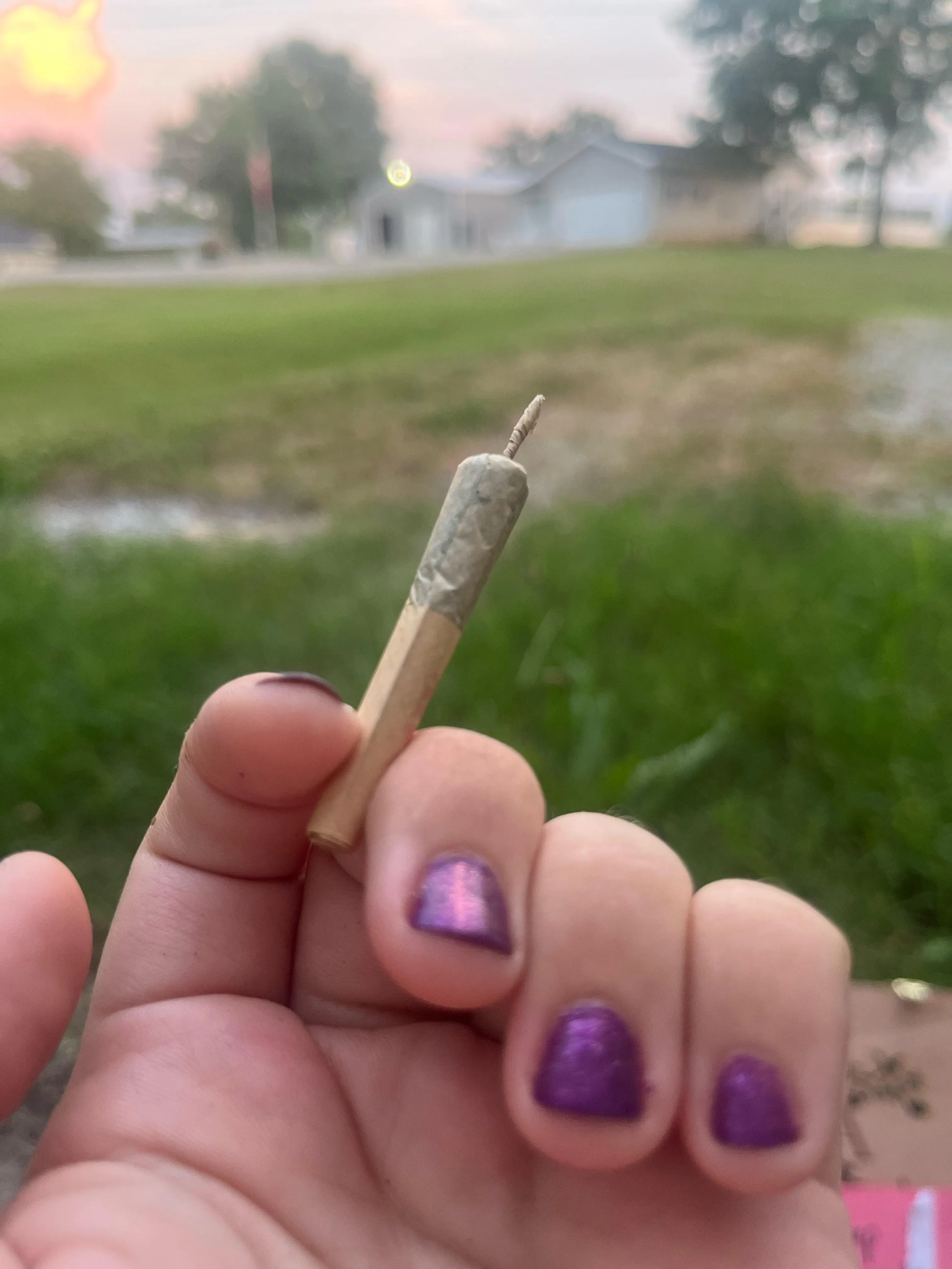an illegally smol hhc joint I had to make from a preroll that decided to bust open when I tried to put it away for later