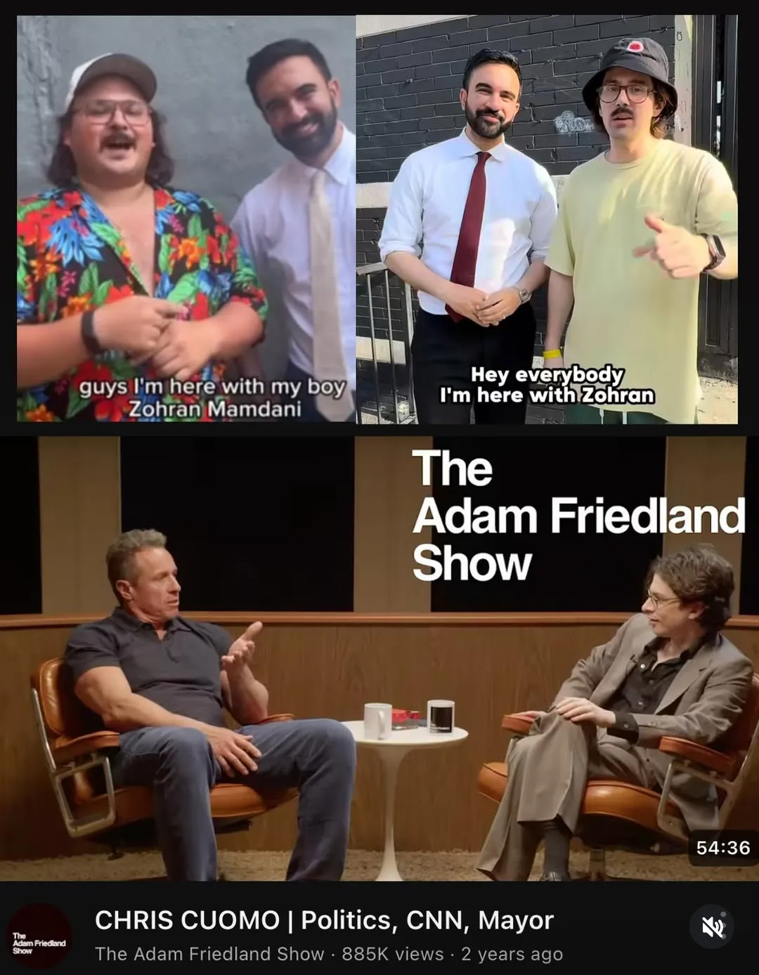 Bug doing bug things