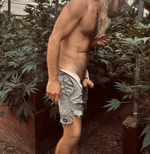 [m39] can anyone lend a hand in the garden?