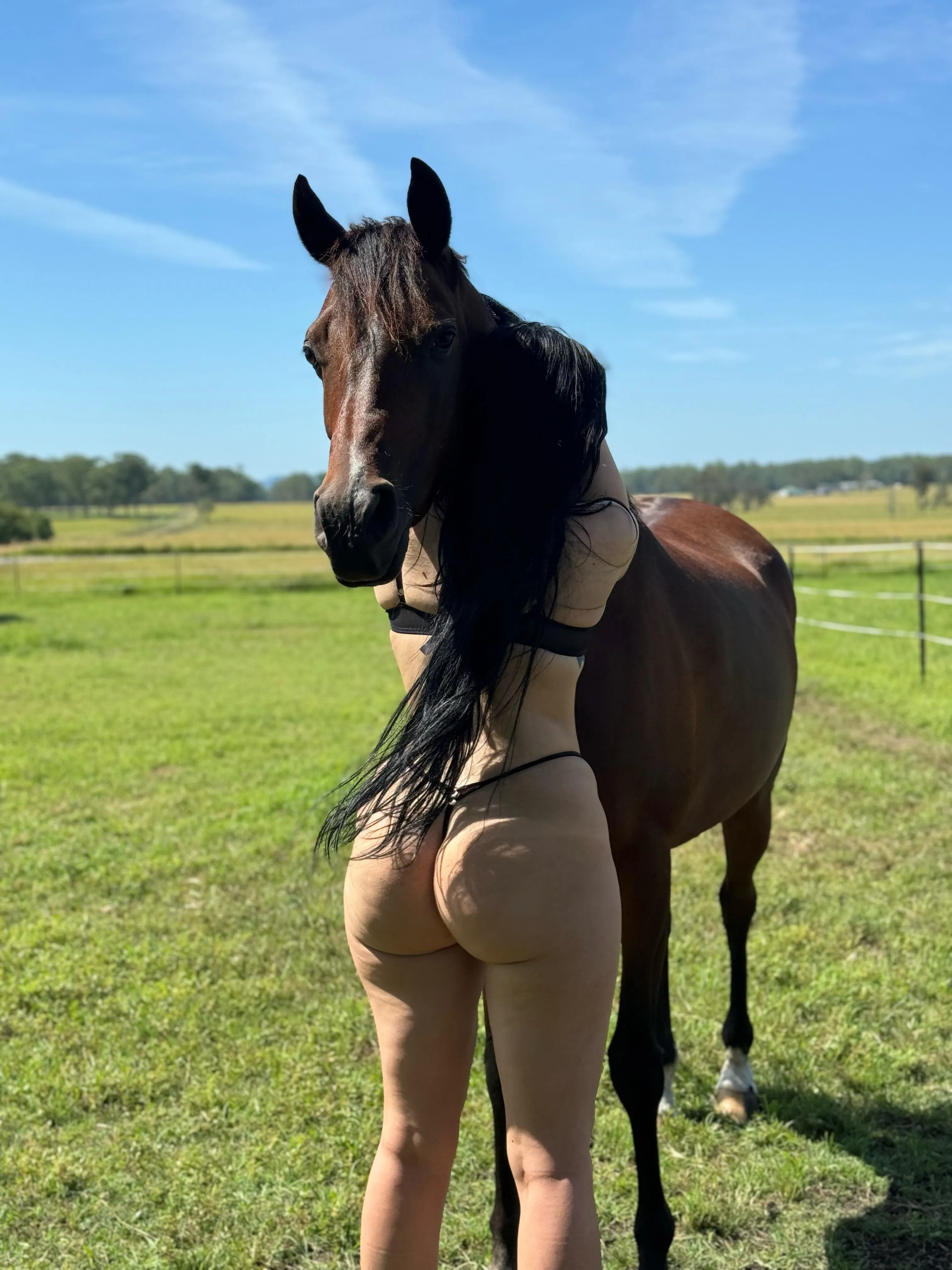 Save a horse … ride a cowboy