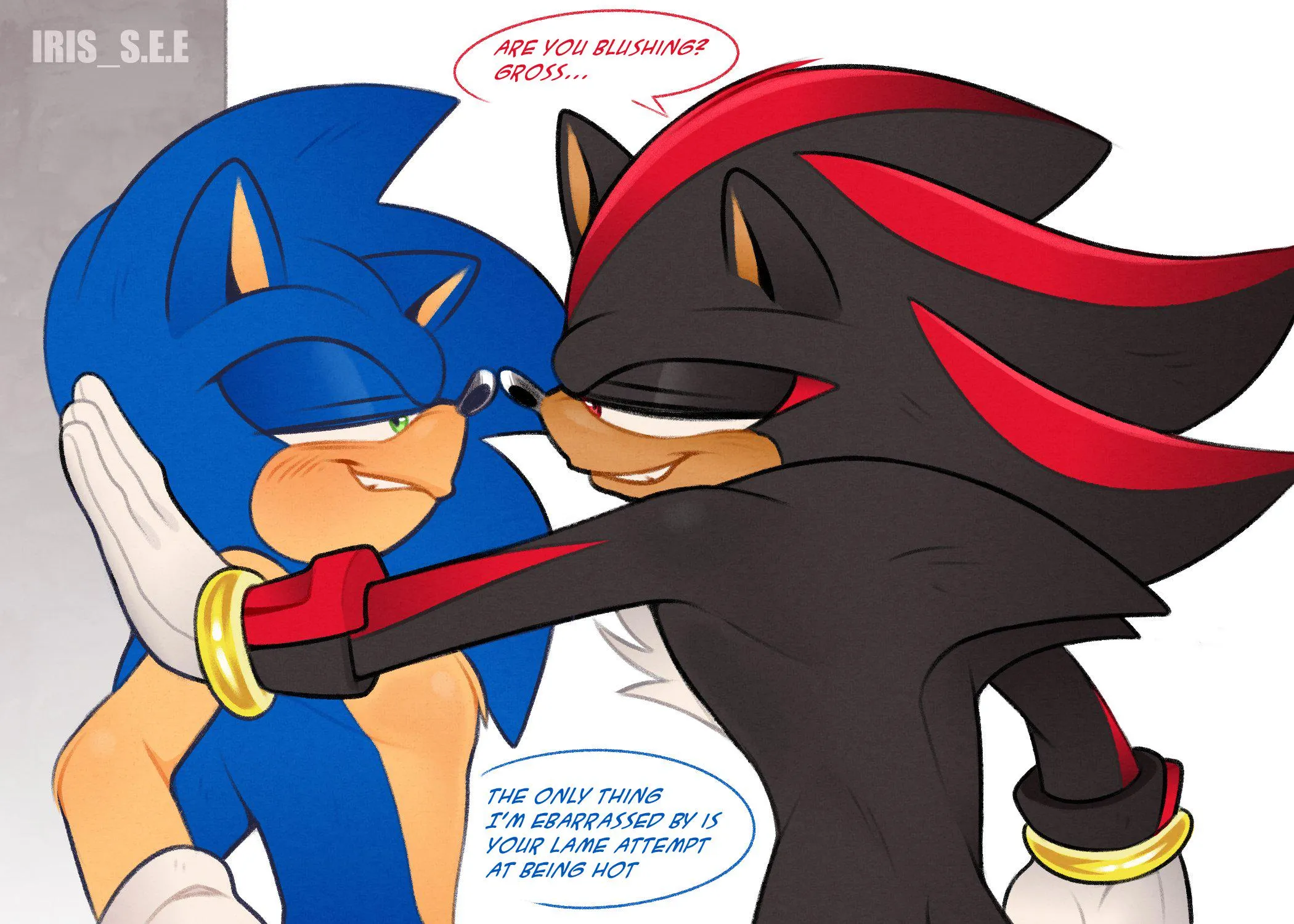 Sonic x Shadow GAY [MM] (irisseeart.bsky.social)