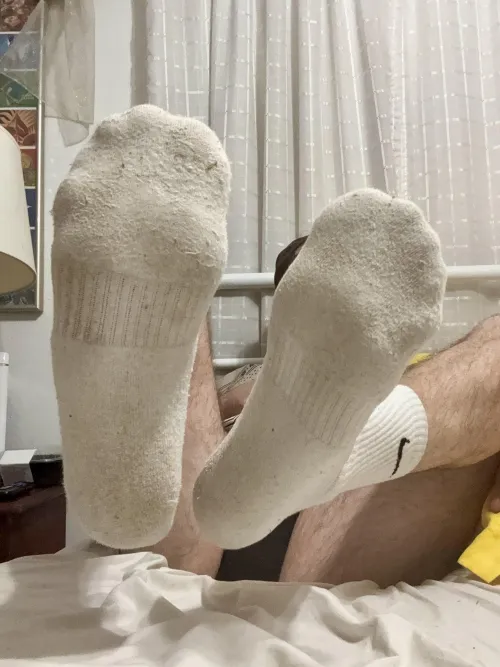 (28) who wants a sniff?