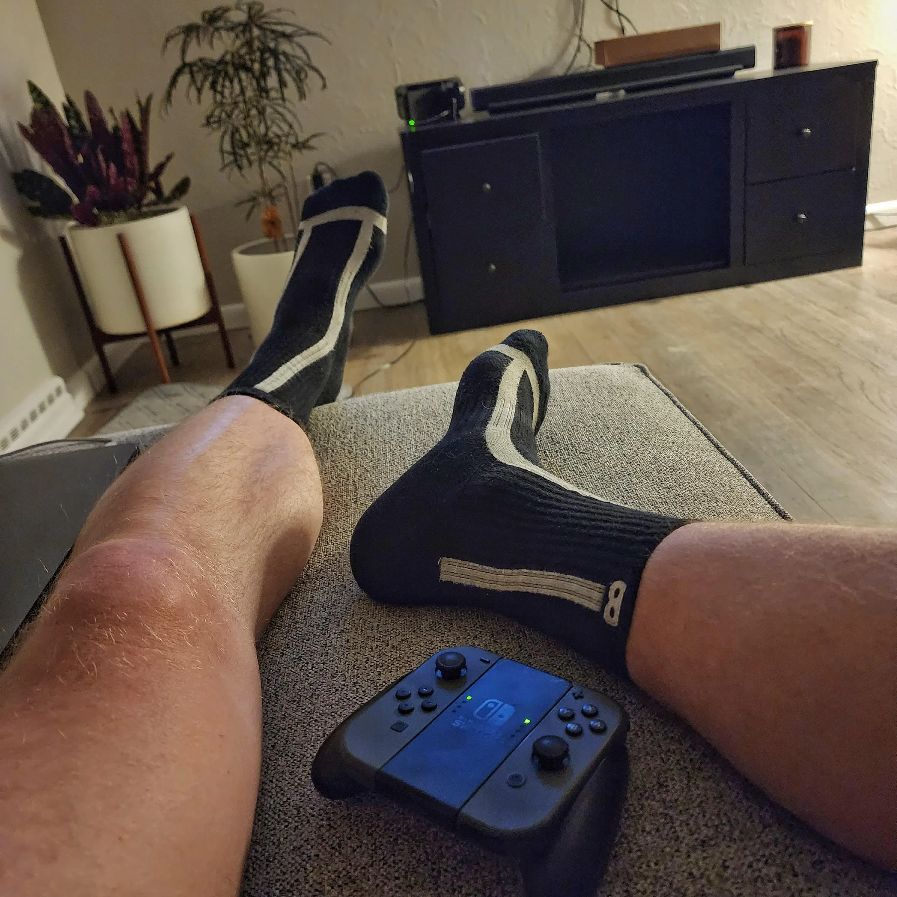 (43) Game with me, or sniff my socks... you choose.