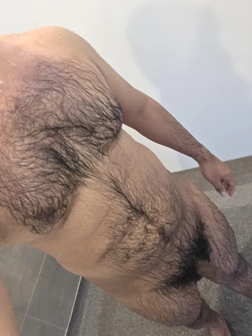 Hairy chest