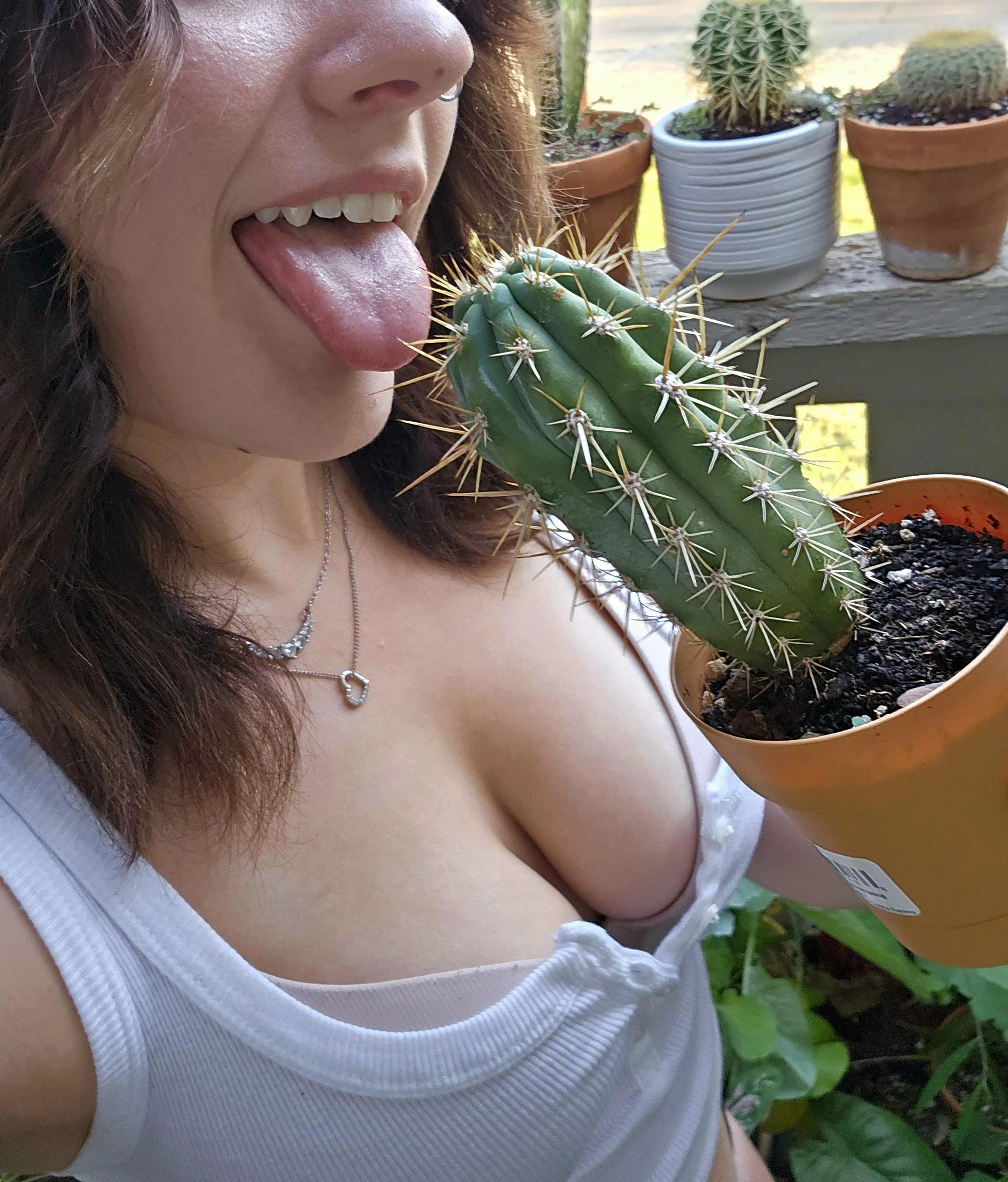 I might just give it a bite haha