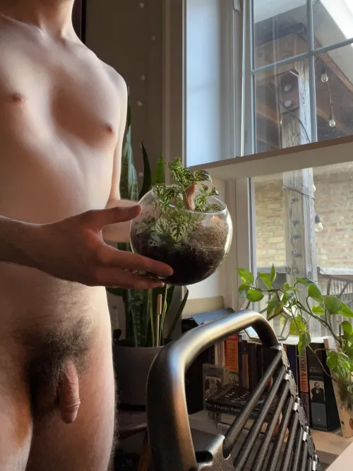 My white splash is doing so well in its terrarium!