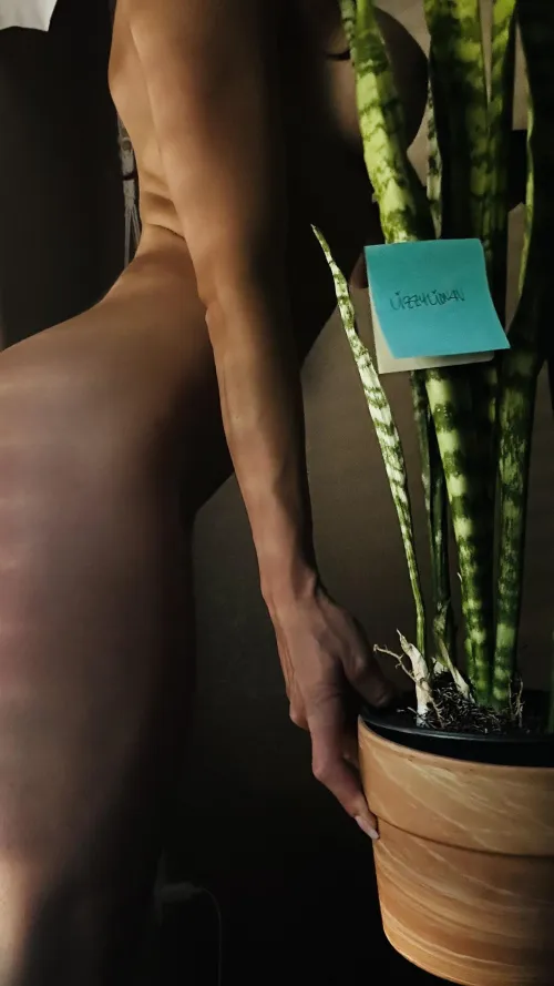 verification post 🌱