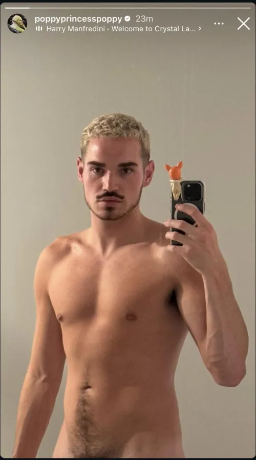 Princess Poppy IG story