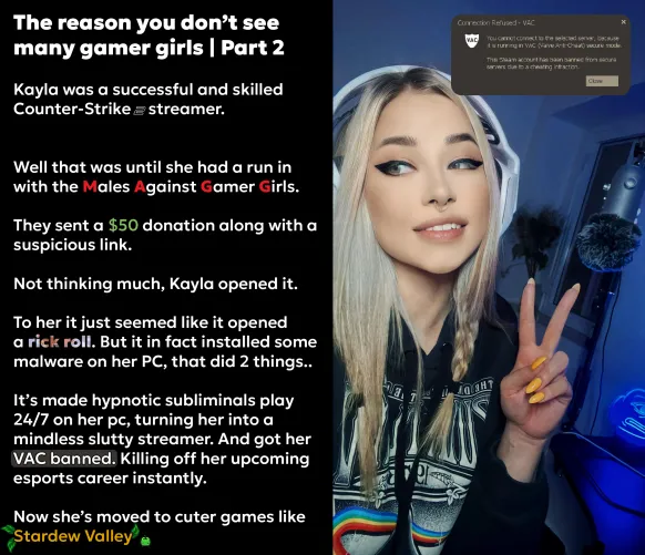 The Reason you don't see many gamer girls | Part 2
