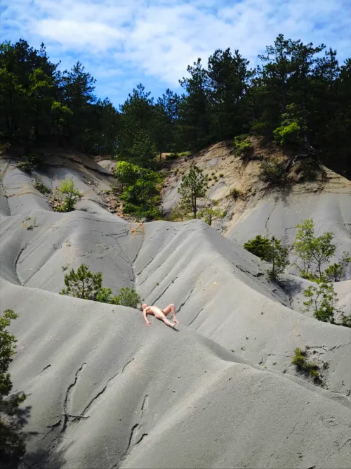 Found some sort of desert in the middle of the woods