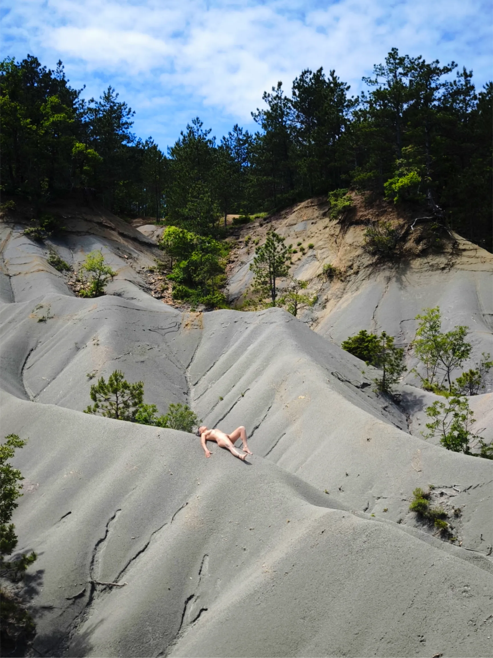 Found some sort of desert in the middle of the woods