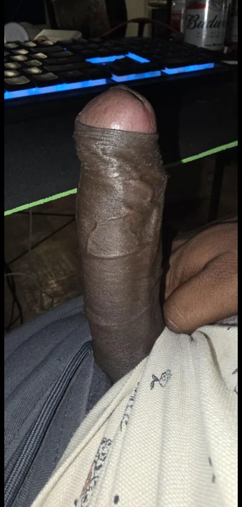 Happy Canada day | 24 [M] North/Scarborough Free tonight