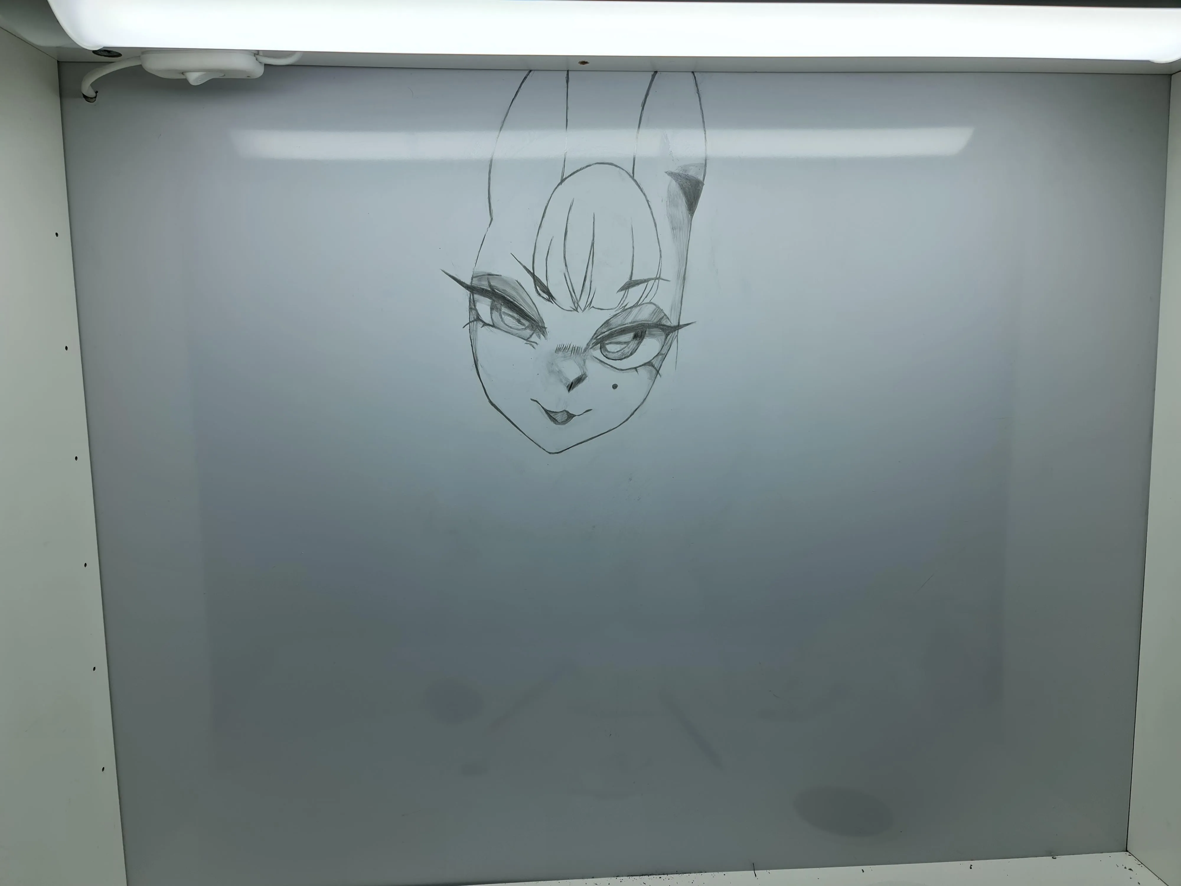 Hellooo everyone! Right now I'm trying to learn Merunyaa's artstyle and I decided a very good (dumb) idea to draw one of her newest pieces on my whiteboard with a pencil, this is my progress so far, wish me luck yall cuz it'll be hard as hell :3