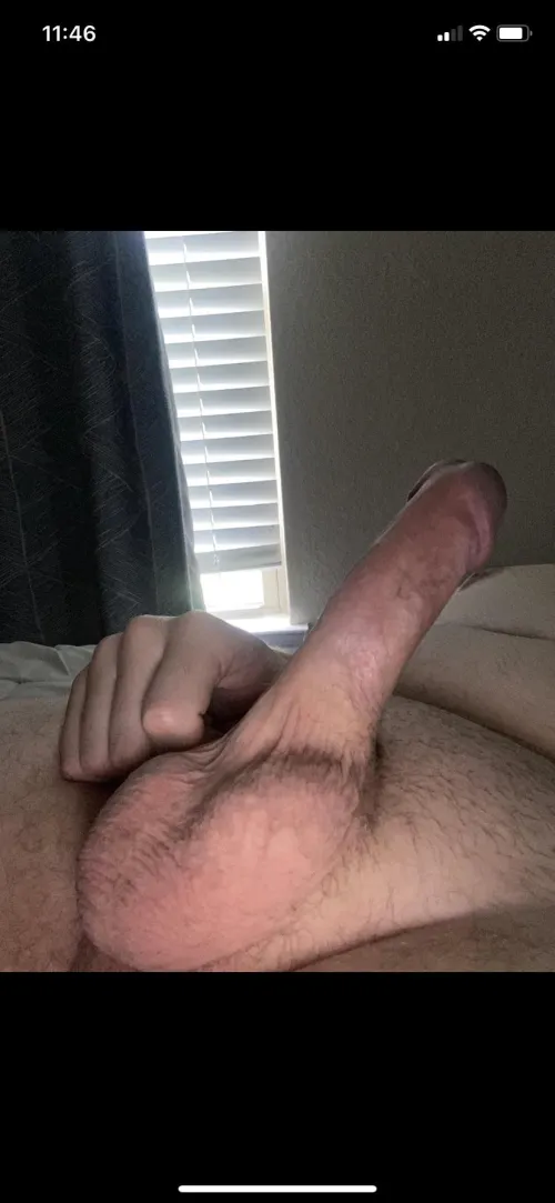 Just a mid day Houston cock