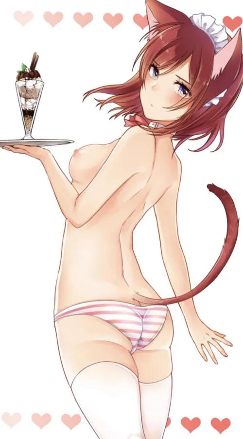 Kitty for the dessert