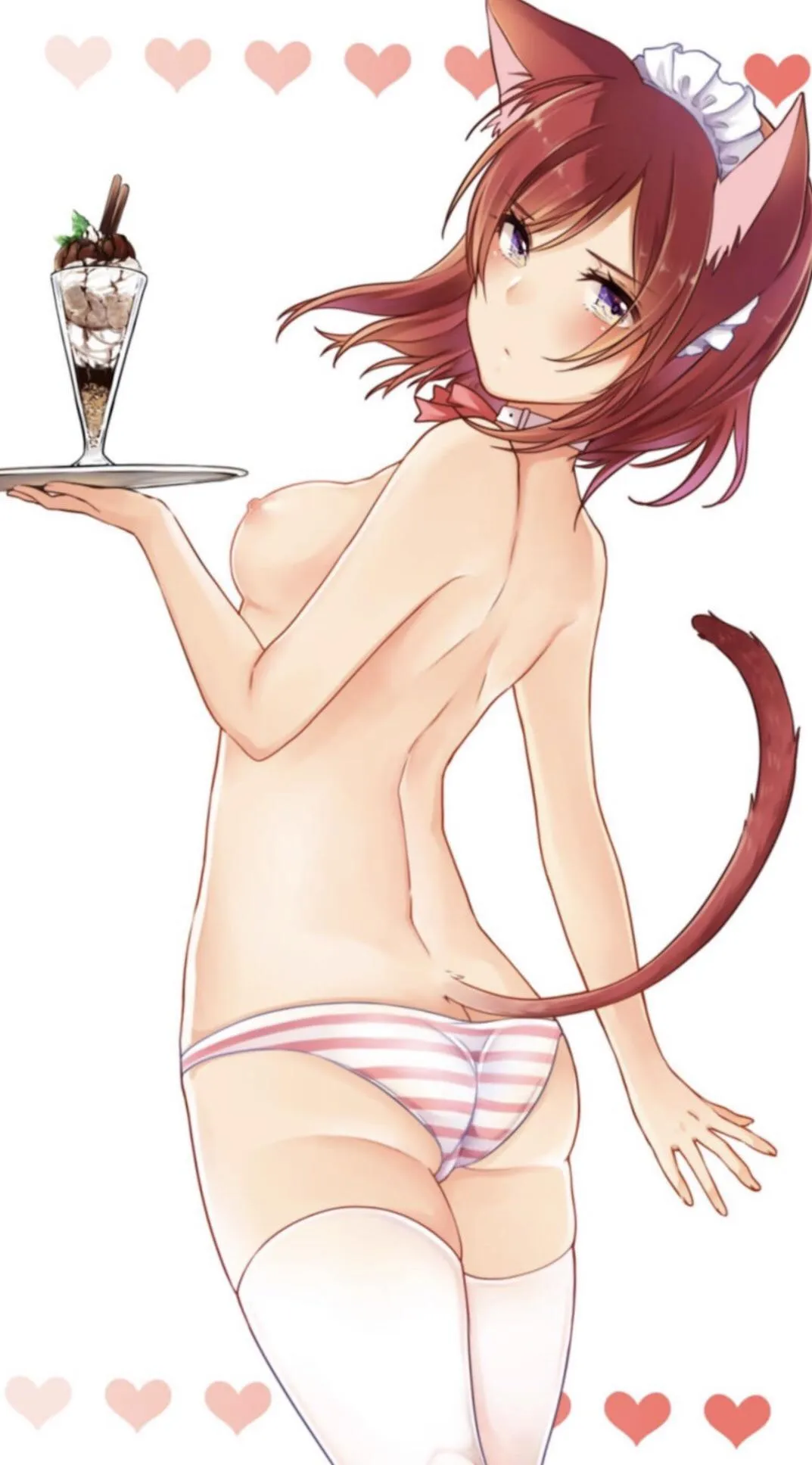 Kitty for the dessert