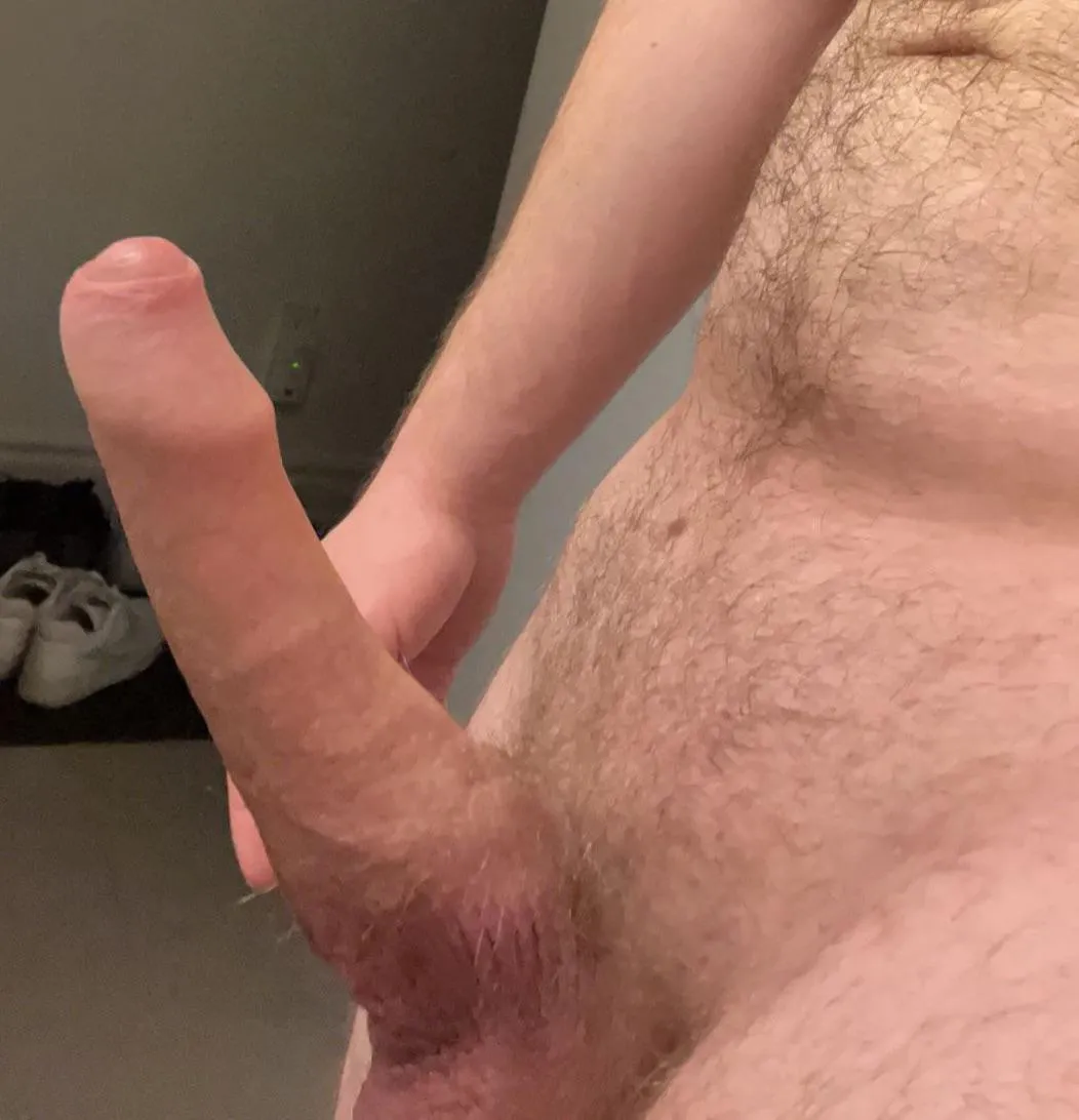[M] BWC bull