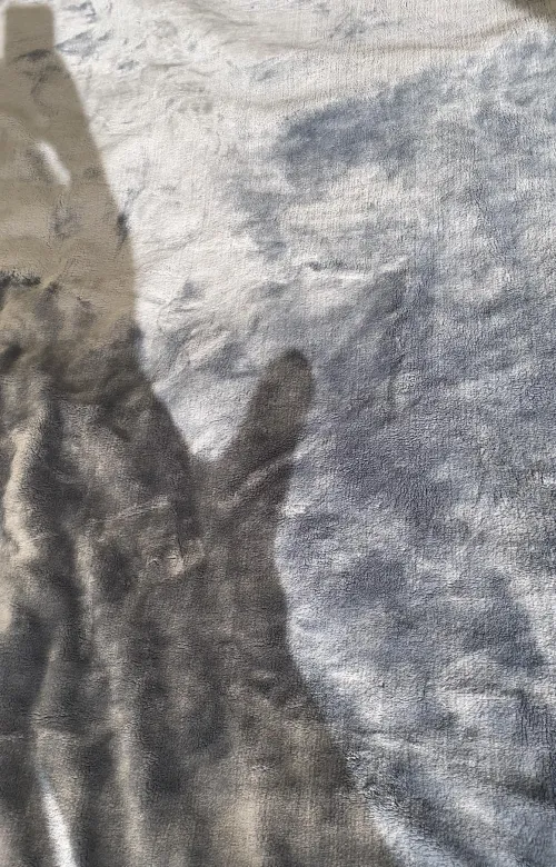 Wanna play shadow puppets? [M]