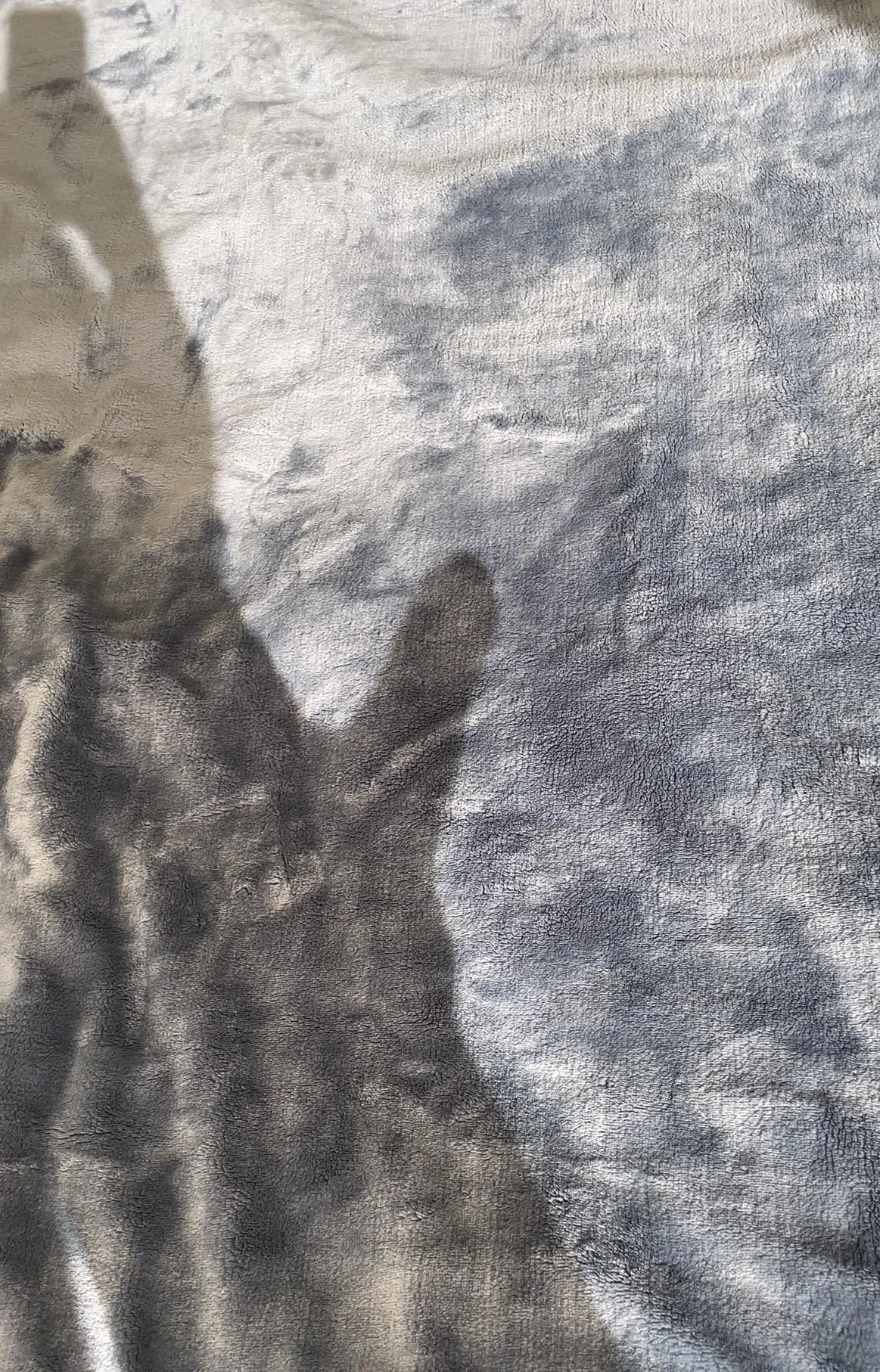 Wanna play shadow puppets? [M]