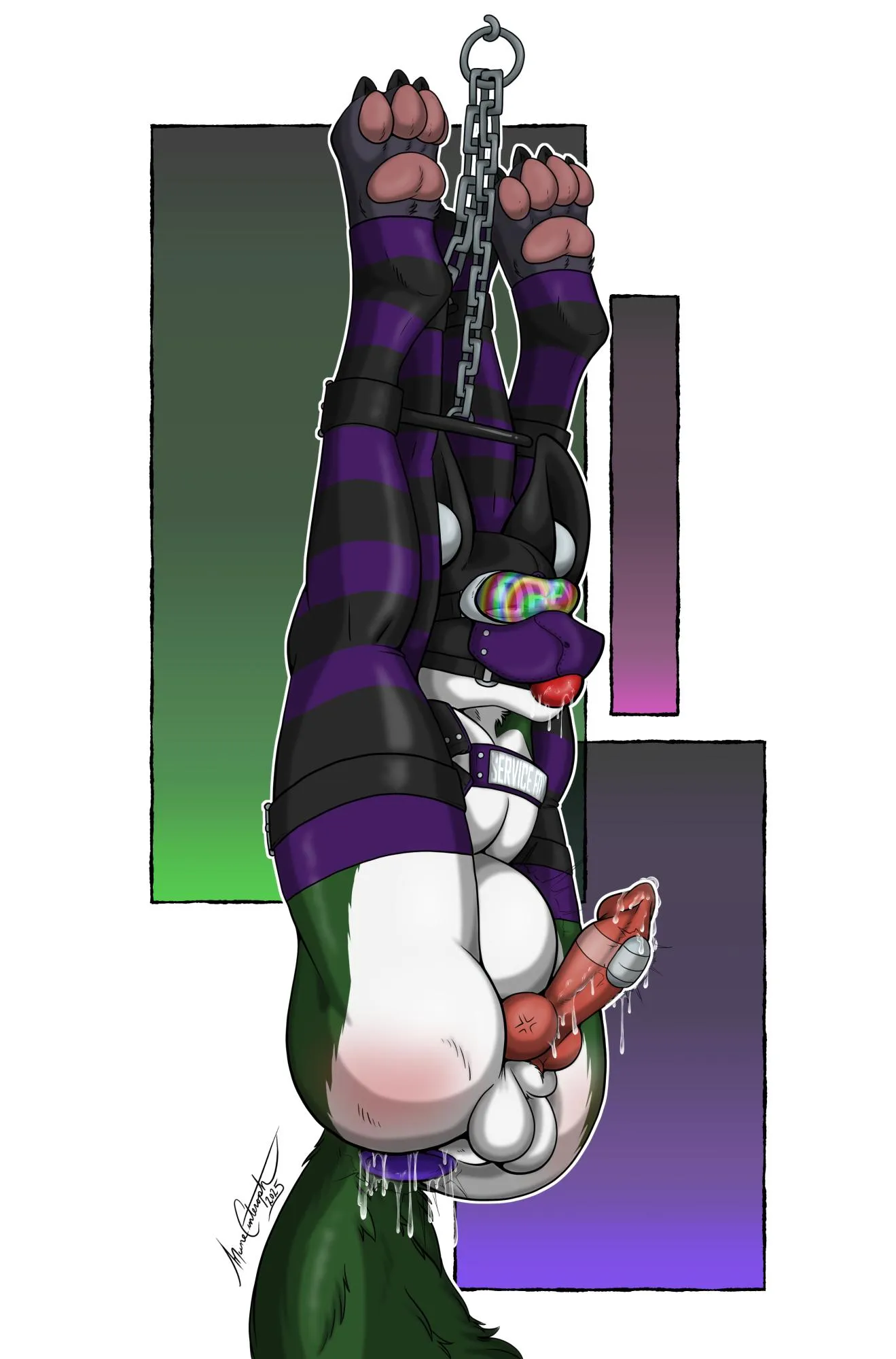 Service Fox Maintenance (Mune Cinteroph )