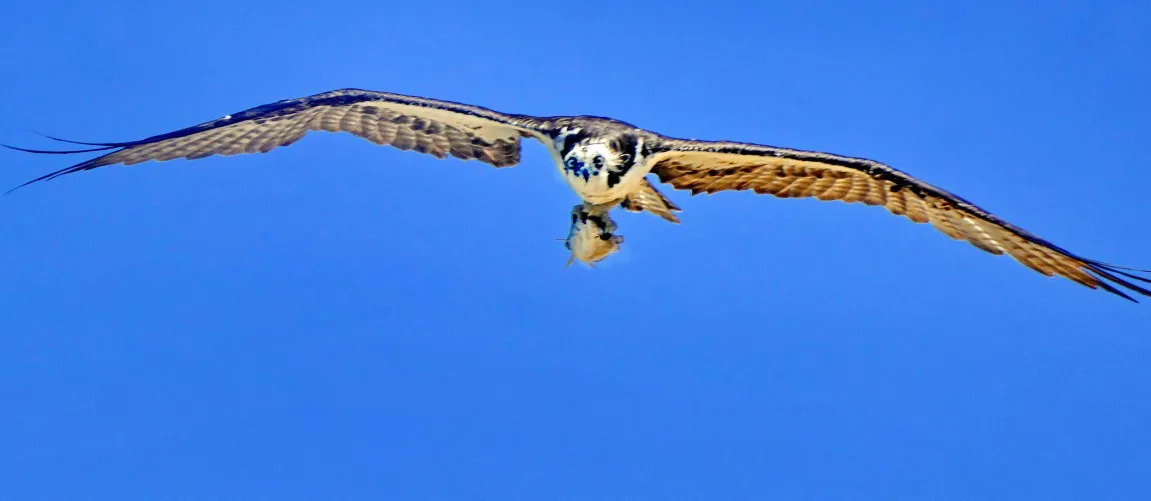 Sophie taking a lunch break