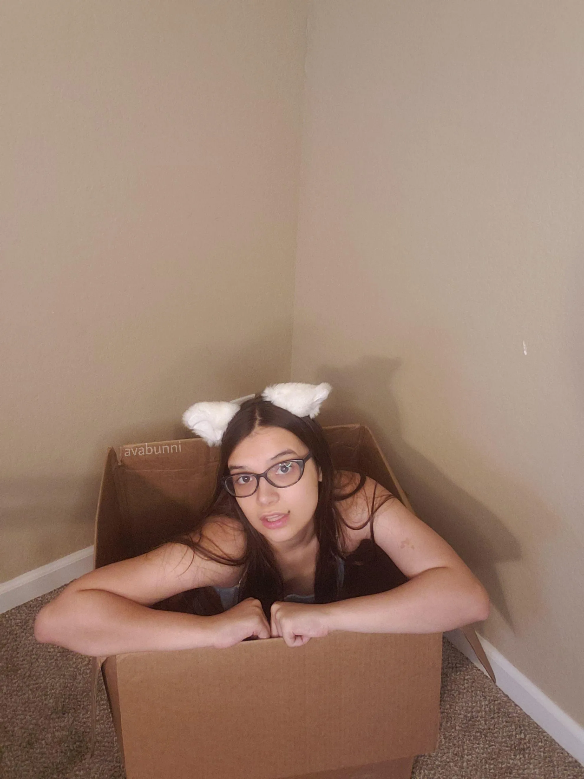 Still looking for a nice bed to cuddle up in [OC]