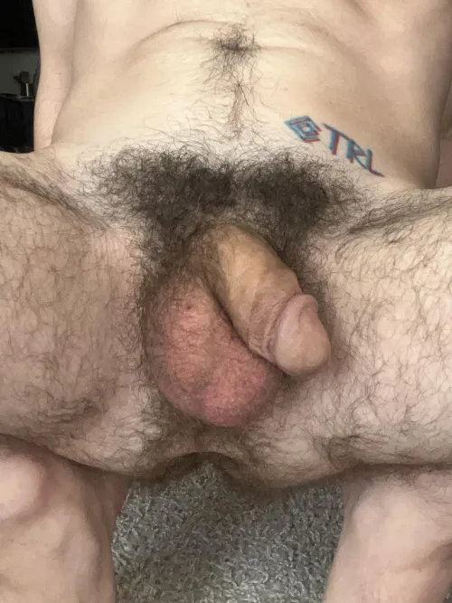 you could get lost between my legs