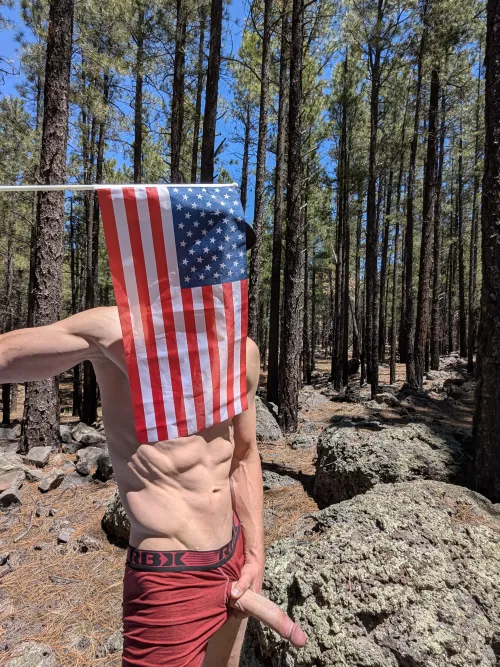 Big cock and an American flag