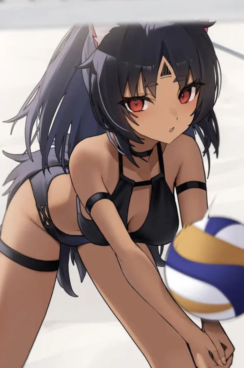 Fit Neko playing volleyball