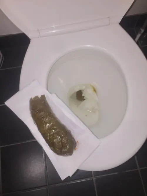 Ebony femdom selling her large fresh burrito turd