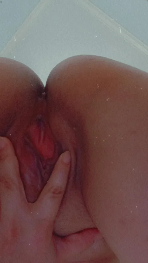 Looking for a piggy to drain wallets and balls!!!!!!